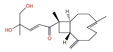 Gibberosin J